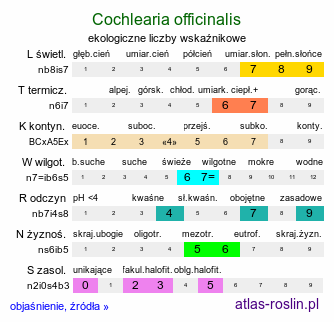 ekologiczne liczby wskaźnikowe Cochlearia officinalis (warzucha lekarska)