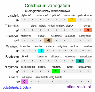 ekologiczne liczby wskaźnikowe Colchicum variegatum (zimowit pstry)