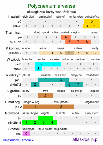 ekologiczne liczby wskaźnikowe Polycnemum arvense (chrząstkowiec polny)