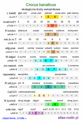 ekologiczne liczby wskaźnikowe Crocus banaticus