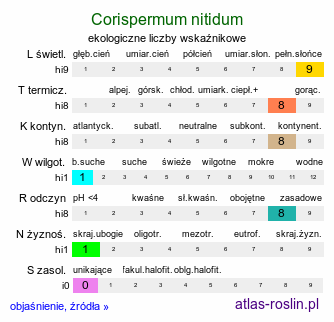 ekologiczne liczby wskaźnikowe Corispermum nitidum (wrzosowiec lśniący)