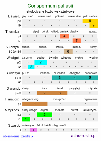 ekologiczne liczby wskaźnikowe Corispermum pallasii (wrzosowiec cienkoskrzydełkowy)