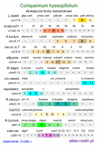 ekologiczne liczby wskaźnikowe Corispermum hyssopifolium (wrzosowiec hyzopolistny)