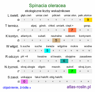 ekologiczne liczby wskaźnikowe Spinacia oleracea (szpinak warzywny)