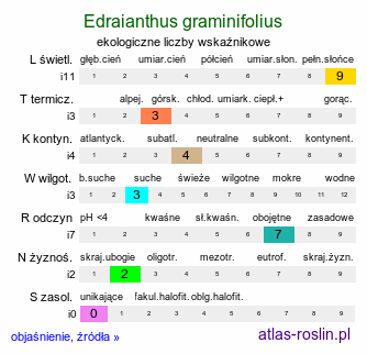 ekologiczne liczby wskaźnikowe Edraianthus graminifolius (dzwonczyn trawolistny)