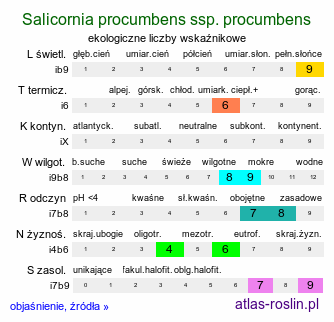 ekologiczne liczby wskaźnikowe Salicornia procumbens ssp. procumbens