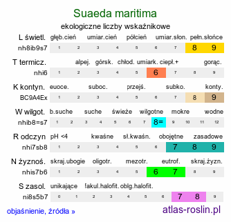 ekologiczne liczby wskaźnikowe Suaeda maritima (sodówka nadmorska)