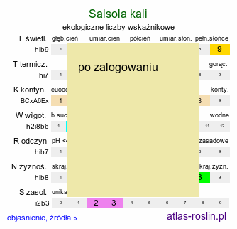 ekologiczne liczby wskaźnikowe Salsola kali (solanka kolczysta)