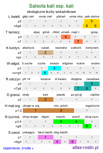 ekologiczne liczby wskaźnikowe Salsola kali ssp. kali (solanka kolczysta typowa)