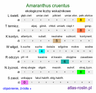 ekologiczne liczby wskaźnikowe Amaranthus cruentus (szarłat wyniosły)