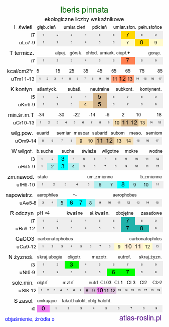 ekologiczne liczby wskaźnikowe Iberis pinnata (ubiorek pierzasty)