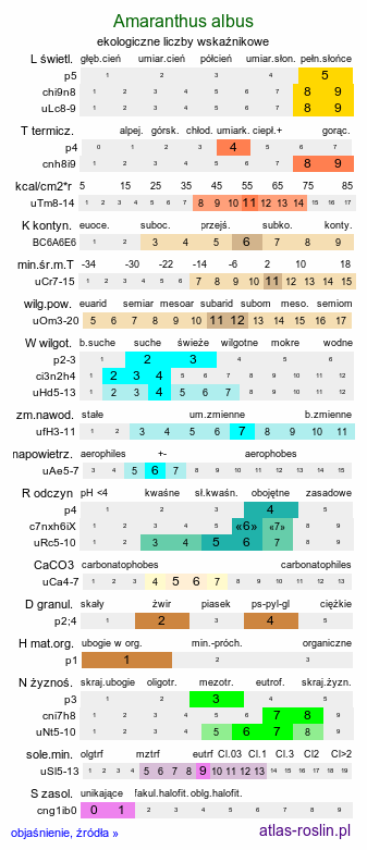 ekologiczne liczby wskaźnikowe Amaranthus albus (szarłat biały)