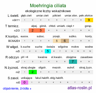 ekologiczne liczby wskaźnikowe Moehringia ciliata