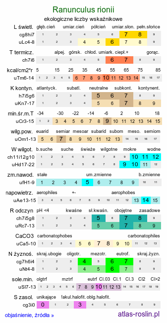 ekologiczne liczby wskaźnikowe Ranunculus rionii (jaskier Riona)