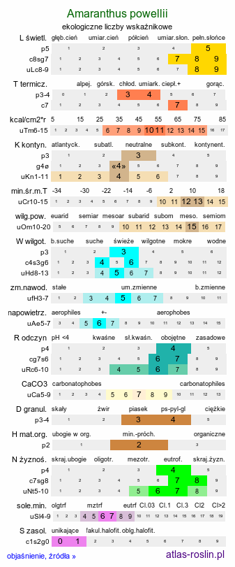 ekologiczne liczby wskaźnikowe Amaranthus powellii (szarłat prosty)
