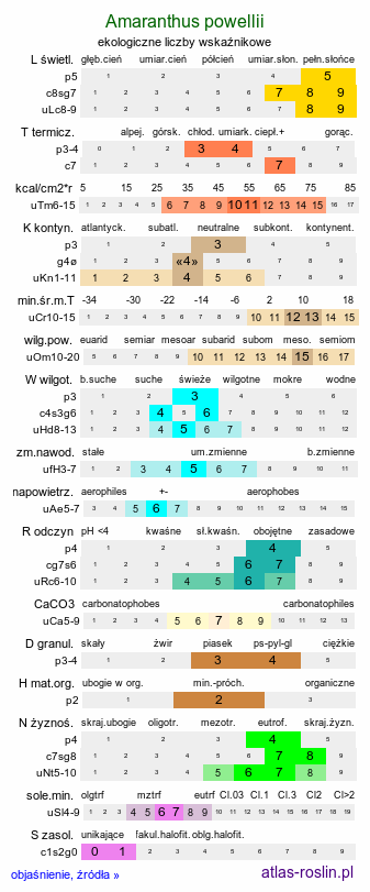 ekologiczne liczby wskaźnikowe Amaranthus powellii (szarłat prosty)