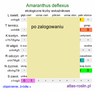 ekologiczne liczby wskaźnikowe Amaranthus deflexus (szarłat pochylony)