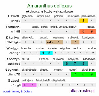 ekologiczne liczby wskaźnikowe Amaranthus deflexus (szarłat pochylony)