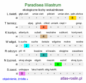 ekologiczne liczby wskaźnikowe Paradisea liliastrum (paradyzja liliowata)