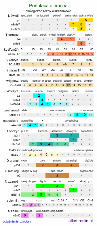 ekologiczne liczby wskaźnikowe Portulaca oleracea (portulaka pospolita)