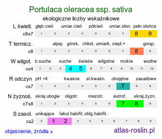 ekologiczne liczby wskaźnikowe Portulaca oleracea ssp. sativa (portulaka pospolita siewna)