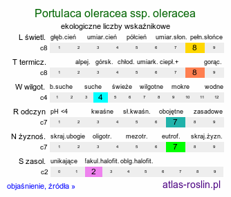 ekologiczne liczby wskaźnikowe Portulaca oleracea ssp. oleracea (portulaka pospolita typowa)