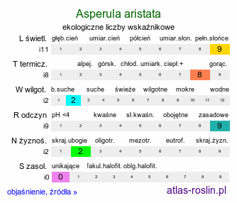 ekologiczne liczby wskaźnikowe Asperula aristata
