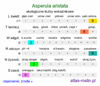 ekologiczne liczby wskaźnikowe Asperula aristata