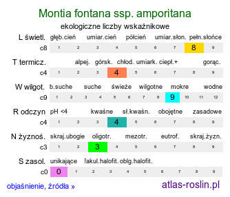 ekologiczne liczby wskaźnikowe Montia fontana ssp. amporitana (zdrojek błyszczący wodny)