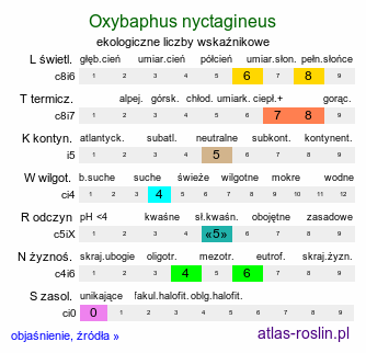 ekologiczne liczby wskaźnikowe Oxybaphus nyctagineus (ostrobarw rzepieniolistny)