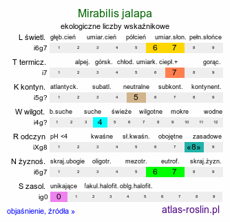 ekologiczne liczby wskaźnikowe Mirabilis jalapa (dziwaczek Jalapa)