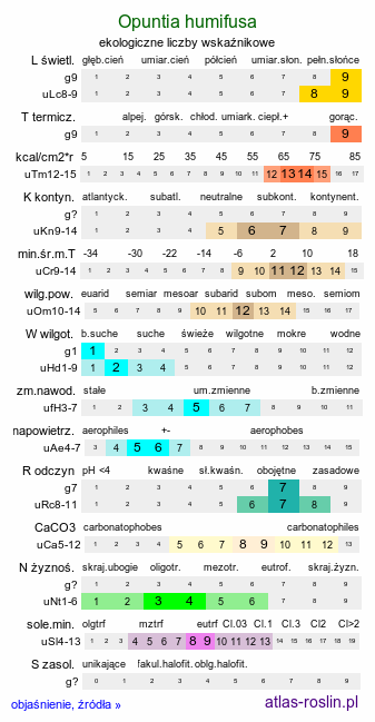 ekologiczne liczby wskaźnikowe Opuntia humifusa (opuncja płożąca)