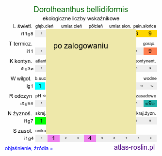 ekologiczne liczby wskaźnikowe Dorotheanthus bellidiformis (dorotka stokrotkowa)