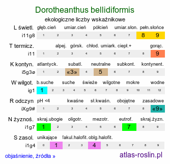 ekologiczne liczby wskaźnikowe Dorotheanthus bellidiformis (dorotka stokrotkowa)