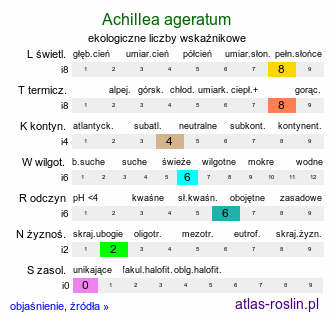 ekologiczne liczby wskaźnikowe Achillea ageratum