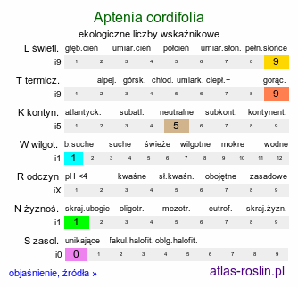 ekologiczne liczby wskaźnikowe Aptenia cordifolia (aptenia sercowata)