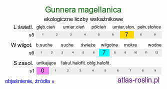 ekologiczne liczby wskaźnikowe Gunnera magellanica (parzeplin brazylijski)