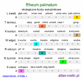 ekologiczne liczby wskaźnikowe Rheum palmatum (rabarbar dłoniasty)