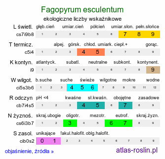 ekologiczne liczby wskaźnikowe Fagopyrum esculentum (gryka zwyczajna)