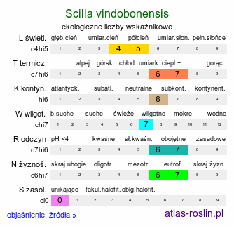 ekologiczne liczby wskaźnikowe Scilla vindobonensis