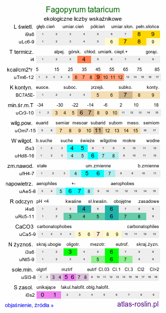 ekologiczne liczby wskaźnikowe Fagopyrum tataricum (gryka tatarka)