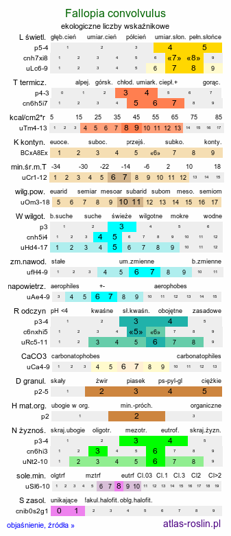 ekologiczne liczby wskaźnikowe Fallopia convolvulus (rdestówka powojowata)