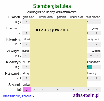 ekologiczne liczby wskaźnikowe Sternbergia lutea (sternbergia żółta)