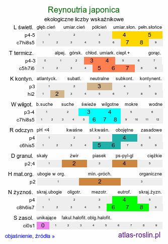 ekologiczne liczby wskaźnikowe Reynoutria japonica (rdestowiec ostrokończysty)