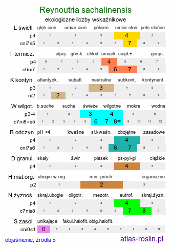 ekologiczne liczby wskaźnikowe Reynoutria sachalinensis (rdestowiec sachaliński)