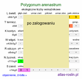 ekologiczne liczby wskaźnikowe Polygonum arenastrum (rdest macierzankowy)