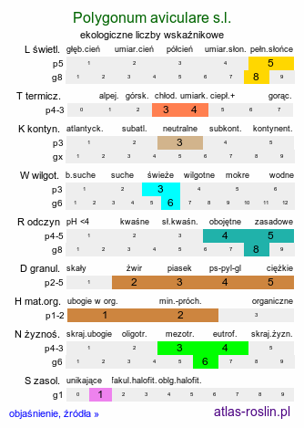 ekologiczne liczby wskaźnikowe Polygonum aviculare agg. (rdest ptasi s.l.)