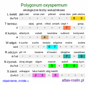 ekologiczne liczby wskaźnikowe Polygonum oxyspermum s.str. (rdest nadbrzeżny)