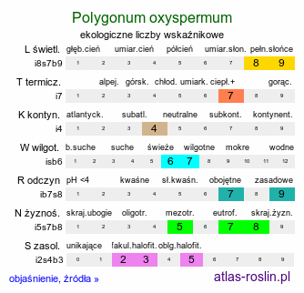 ekologiczne liczby wskaźnikowe Polygonum oxyspermum (rdest nadbrzeżny)