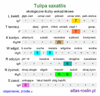 ekologiczne liczby wskaźnikowe Tulipa saxatilis (tulipan skalny)